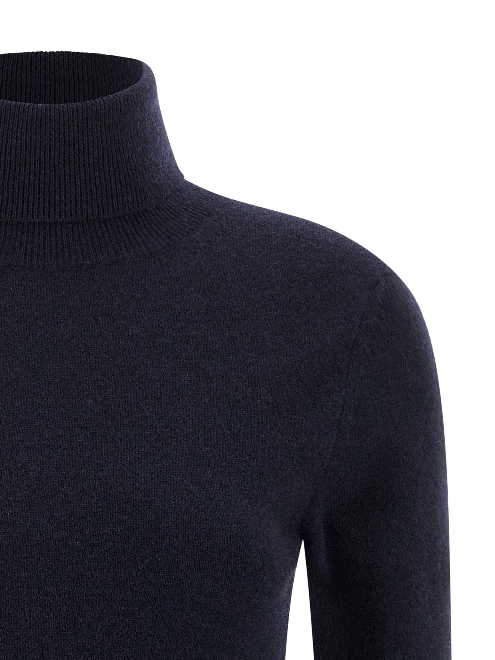 Balenciaga Standard Turtleneck