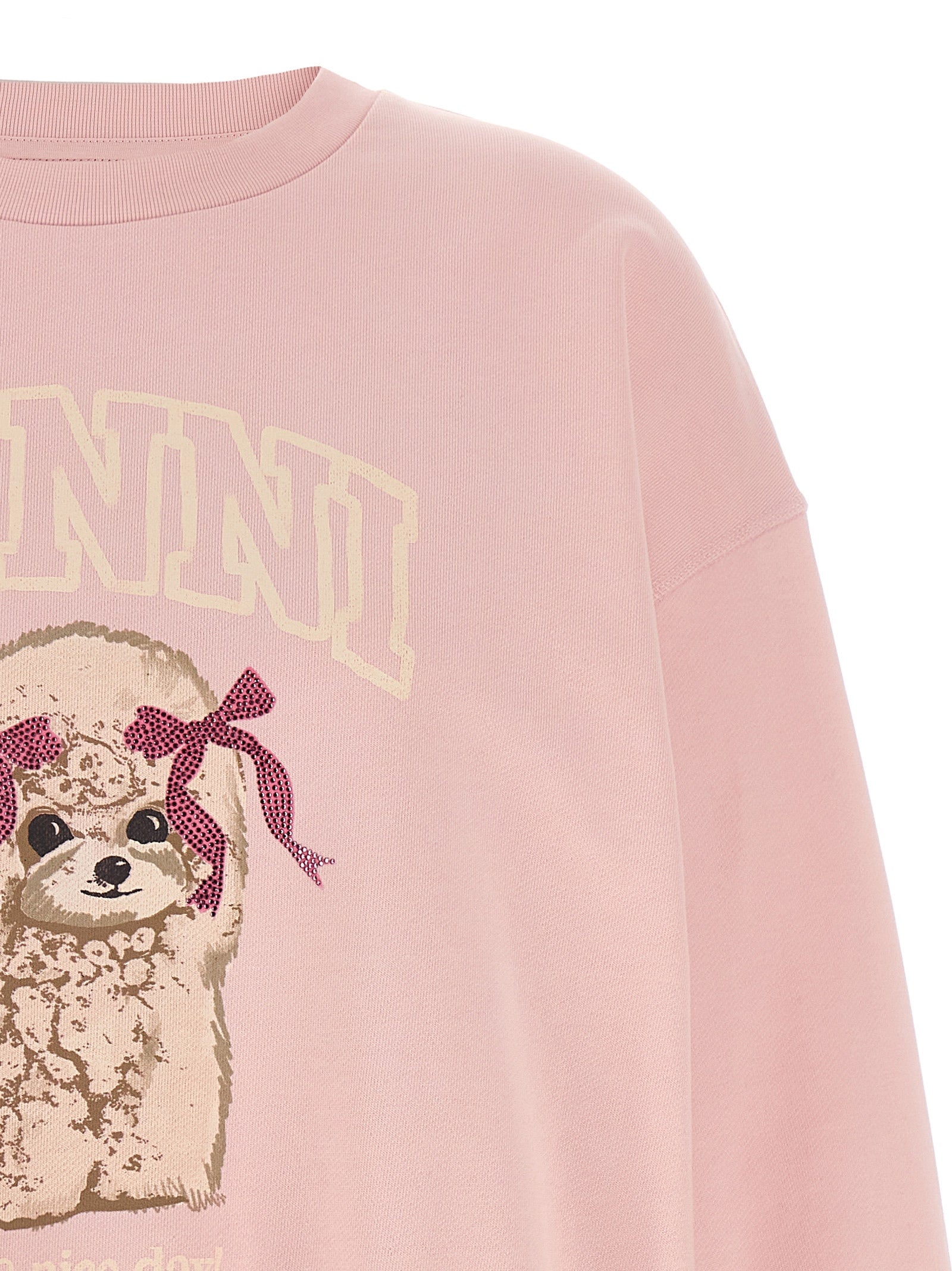 Ganni Crewneck Sweatshirt Moderne Editie Sweatshirt